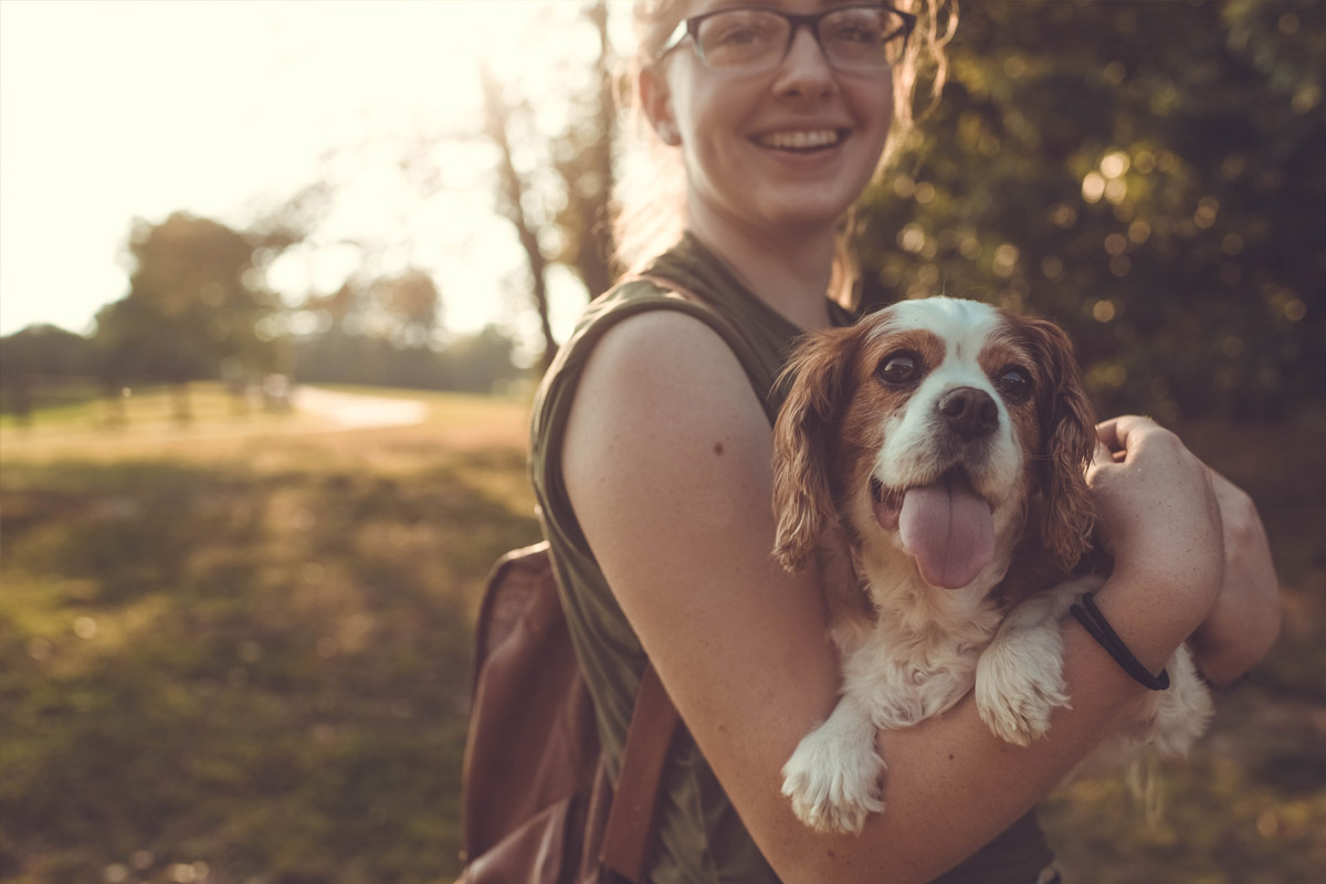 white and brown spaniel-being-carried by woman outdoors
